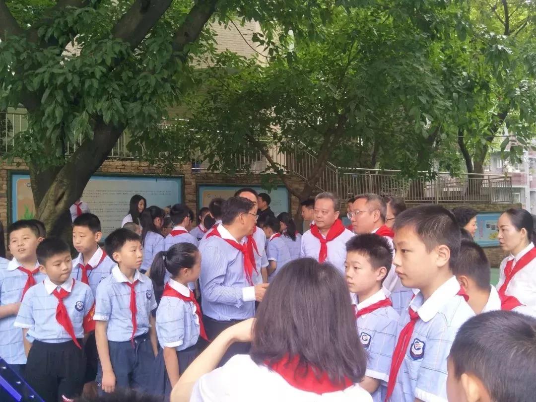 1562817405521502.jpg 8.jpg